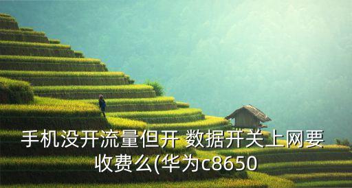 手機(jī)沒(méi)開(kāi)流量但開(kāi) 數(shù)據(jù)開(kāi)關(guān)上網(wǎng)要 收費(fèi)么(華為c8650
