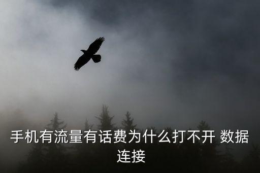 手機有流量有話費為什么打不開 數(shù)據(jù) 連接