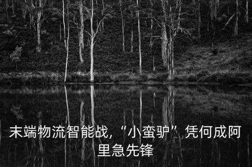末端物流智能戰(zhàn),“小蠻驢”憑何成阿里急先鋒
