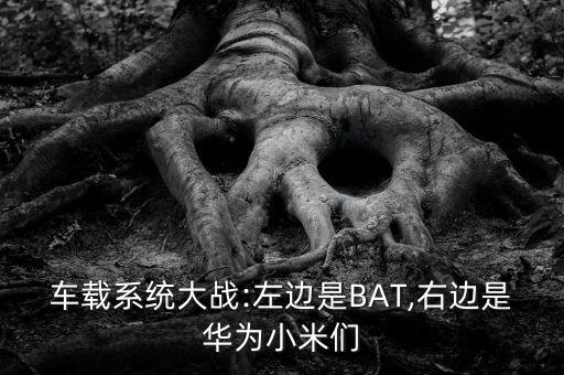 車載系統(tǒng)大戰(zhàn):左邊是BAT,右邊是華為小米們