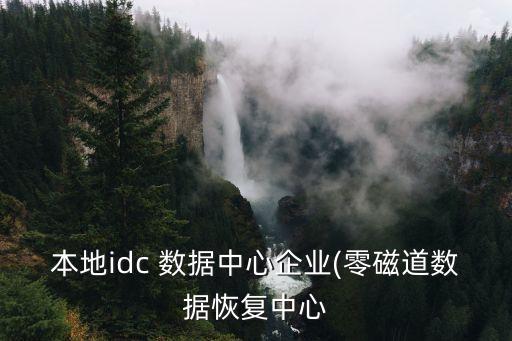 本地idc 數(shù)據(jù)中心企業(yè)(零磁道數(shù)據(jù)恢復(fù)中心