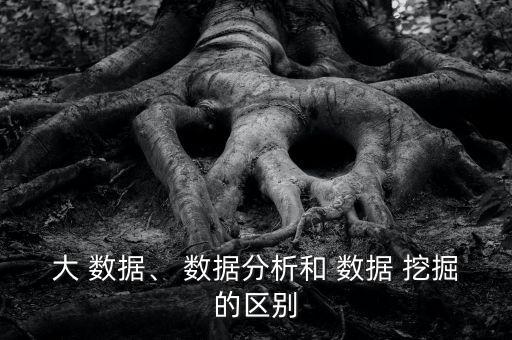 什么是互聯(lián)網(wǎng)數(shù)據(jù)挖掘,互聯(lián)網(wǎng)大規(guī)模數(shù)據(jù)挖掘與分布式處理
