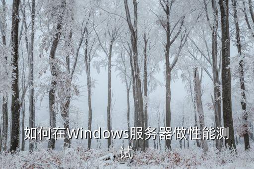 如何在Windows服務(wù)器做性能測試