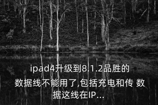  ipad4升級(jí)到8.1.2品勝的 數(shù)據(jù)線不能用了,包括充電和傳 數(shù)據(jù)這線在IP...
