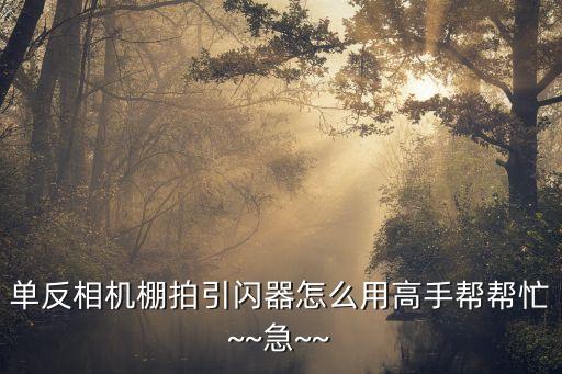 單反相機(jī)棚拍引閃器怎么用高手幫幫忙~~急~~