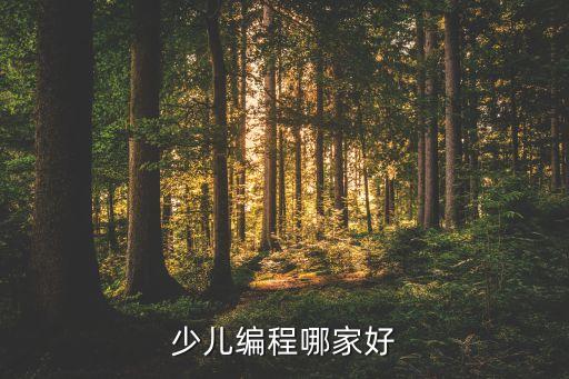 少兒編程哪家好