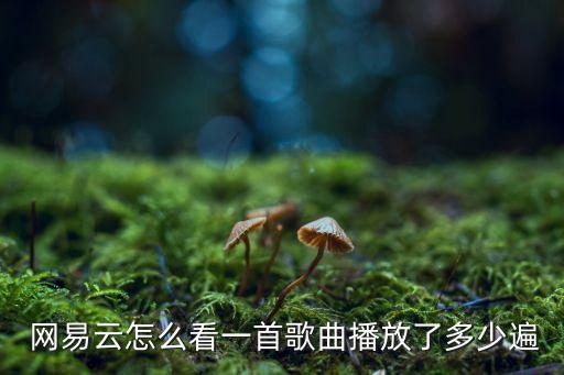  網易云怎么看一首歌曲播放了多少遍