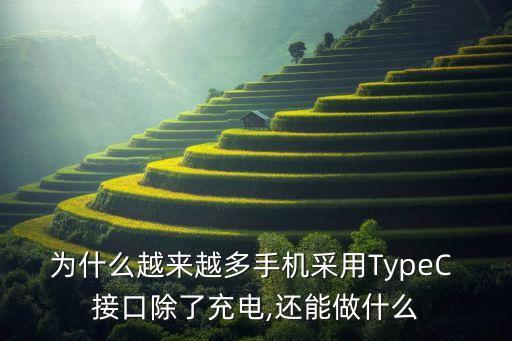 為什么越來越多手機采用TypeC 接口除了充電,還能做什么