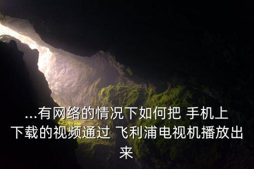 ...有網(wǎng)絡(luò)的情況下如何把 手機上下載的視頻通過 飛利浦電視機播放出來