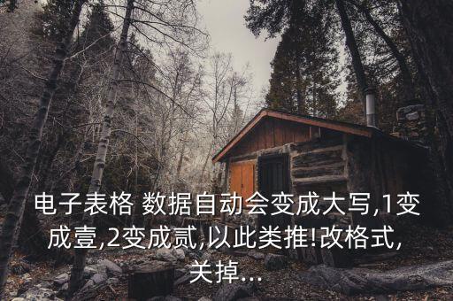 電子表格 數(shù)據(jù)自動會變成大寫,1變成壹,2變成貳,以此類推!改格式,關(guān)掉...