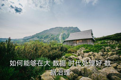 如何能夠在大 數(shù)據(jù) 時代處理好 數(shù)據(jù)治理