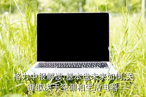  格力中報(bào)解讀,基本盤未來如何,關(guān)鍵取決于空調(diào)和生活電器