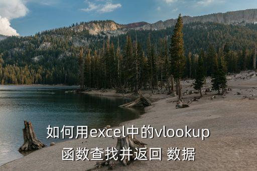 如何用excel中的vlookup函數(shù)查找并返回 數(shù)據(jù)
