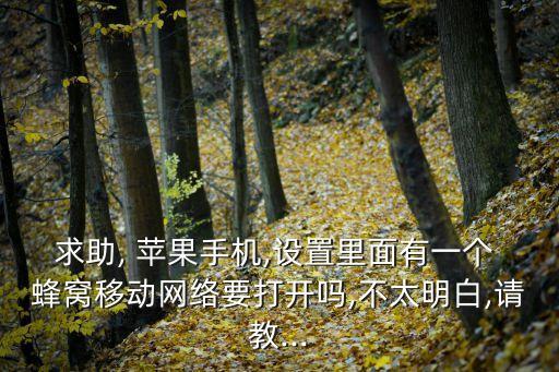 蘋果wifi蜂窩移動(dòng)數(shù)據(jù),蘋果使用wifi和蜂窩移動(dòng)網(wǎng)的應(yīng)用在哪找