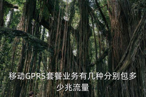 移動GPRS套餐業(yè)務(wù)有幾種分別包多少兆流量