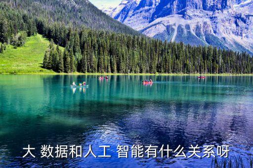 大 數(shù)據(jù)和人工 智能有什么關(guān)系呀