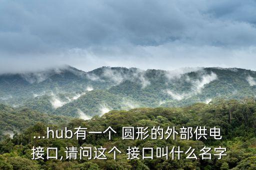 ...hub有一個 圓形的外部供電 接口,請問這個 接口叫什么名字