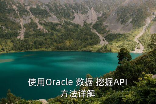 使用Oracle 數據 挖掘API方法詳解