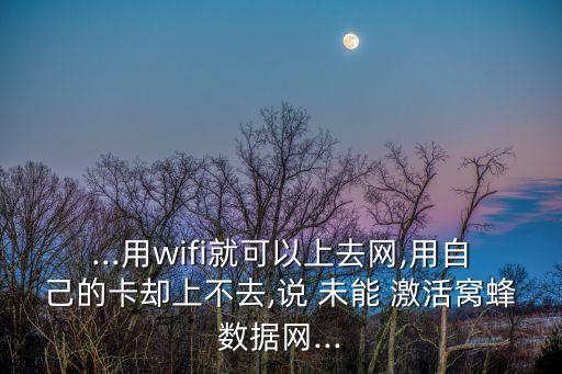 4s未能激活蜂窩移動(dòng)數(shù)據(jù)網(wǎng)絡(luò)連接,iphone未能激活蜂窩移動(dòng)數(shù)據(jù)網(wǎng)