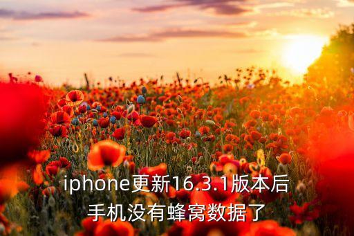 iphone更新16.3.1版本后手機沒有蜂窩數(shù)據(jù)了