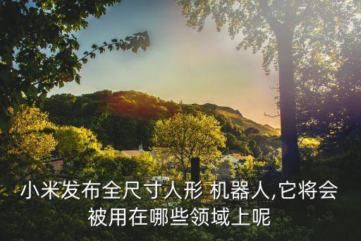 米兔機器人 履??