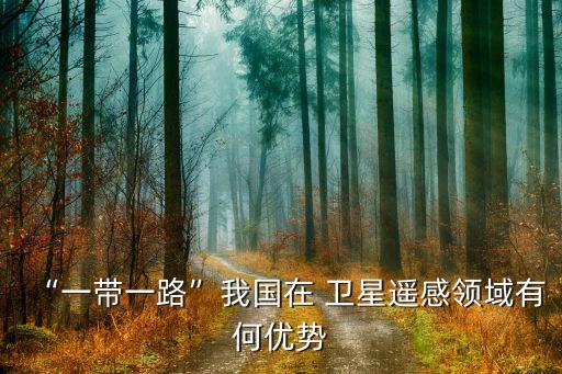 “一帶一路”我國在 衛(wèi)星遙感領(lǐng)域有何優(yōu)勢