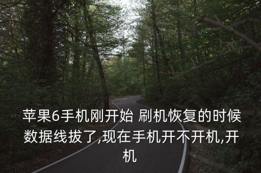  蘋果6手機(jī)剛開始 刷機(jī)恢復(fù)的時候 數(shù)據(jù)線拔了,現(xiàn)在手機(jī)開不開機(jī),開機(jī)