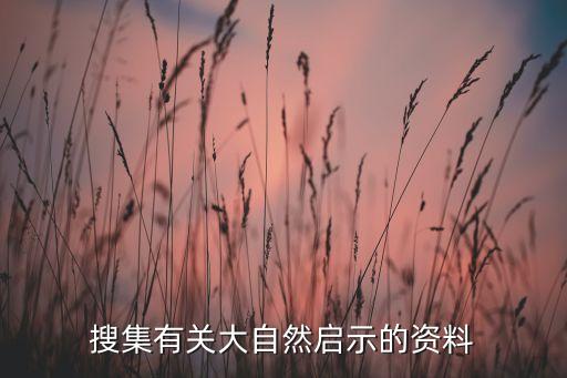 澳大利亞建筑機器人,建筑抹灰機器人