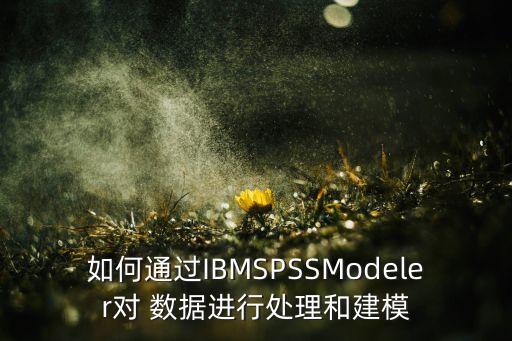 如何通過IBMSPSSModeler對 數(shù)據(jù)進(jìn)行處理和建模