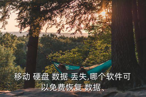 移動(dòng) 硬盤 數(shù)據(jù) 丟失,哪個(gè)軟件可以免費(fèi)恢復(fù) 數(shù)據(jù)、