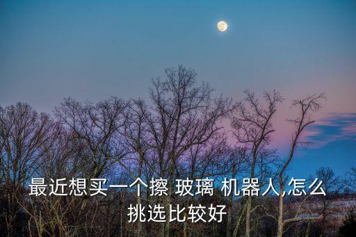 家用玻璃清潔機(jī)器人,高空玻璃清潔機(jī)器人畢業(yè)設(shè)計(jì)