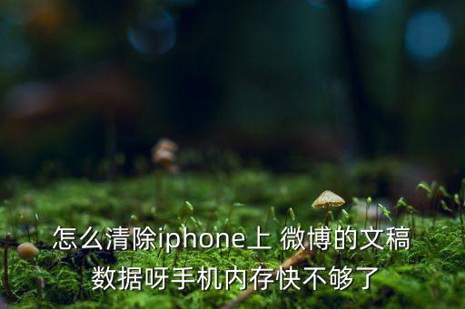 清理微博數(shù)據(jù),微博清理數(shù)據(jù)保存的圖片會(huì)沒(méi)有嗎?