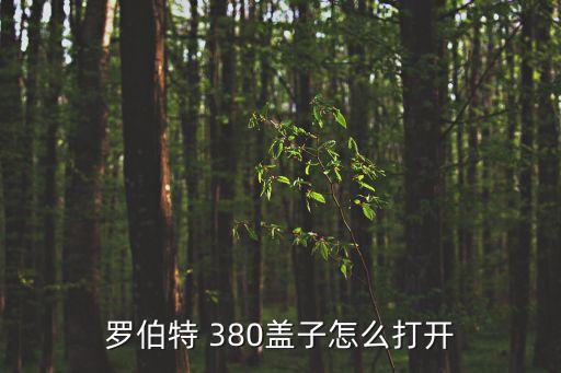 羅伯特 380蓋子怎么打開(kāi)