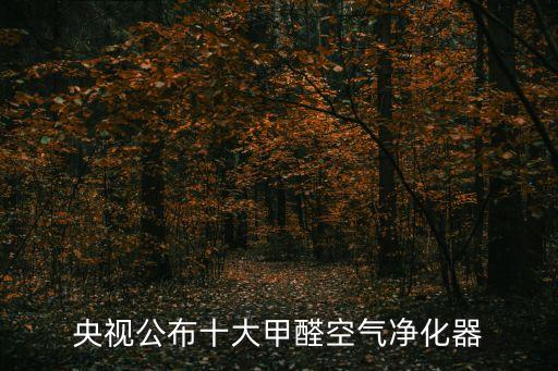 央視公布十大甲醛空氣凈化器