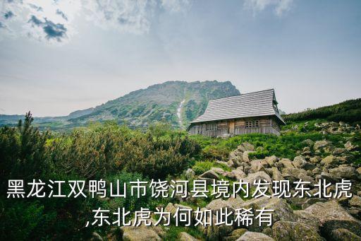 瀕臨滅絕的老虎 數(shù)據(jù),關(guān)于老虎瀕臨滅絕的英語(yǔ)作文