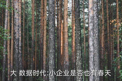 小公司如何獲得大數(shù)據(jù),如何快速獲得小大鳳
