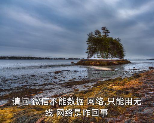 請問 微信不能數(shù)據(jù) 網(wǎng)絡(luò),只能用無線 網(wǎng)絡(luò)是咋回事
