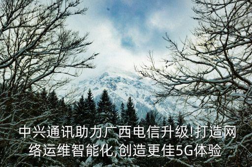  中興通訊助力廣西電信升級(jí)!打造網(wǎng)絡(luò)運(yùn)維智能化,創(chuàng)造更佳5G體驗(yàn)