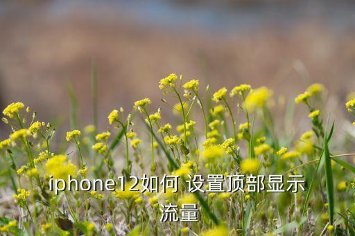 數(shù)據(jù)流量提示怎么設(shè)置方法,手機(jī)數(shù)據(jù)流量設(shè)置在哪里設(shè)置方法