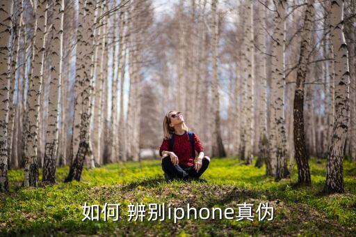 如何 辨別iphone真?zhèn)? class=