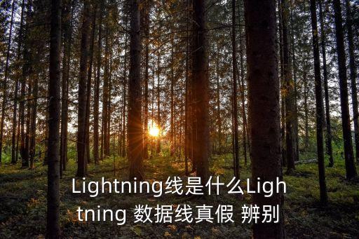 ipad數(shù)據(jù)線真假辨別,蘋果usb-c數(shù)據(jù)線真假辨別