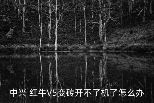中興 紅牛V5變磚開不了機(jī)了怎么辦