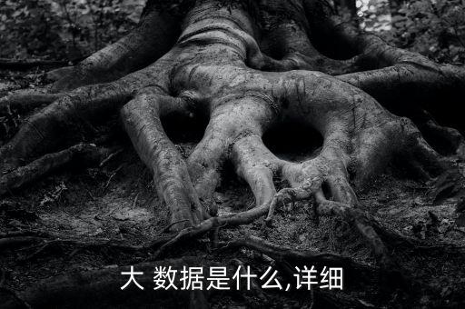大 數(shù)據(jù)是什么,詳細(xì)