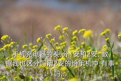 手機充電器的頭,分1安和2安, 數據線也區(qū)分嗎用2安的給手機沖,有事嗎...