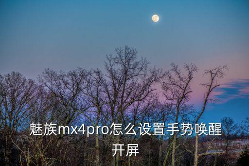 魅族手機(jī)自動(dòng)開屏