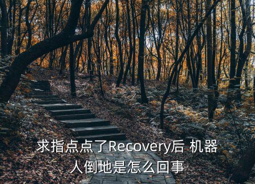 recovery 機(jī)器人倒了,abb機(jī)器人path recovery
