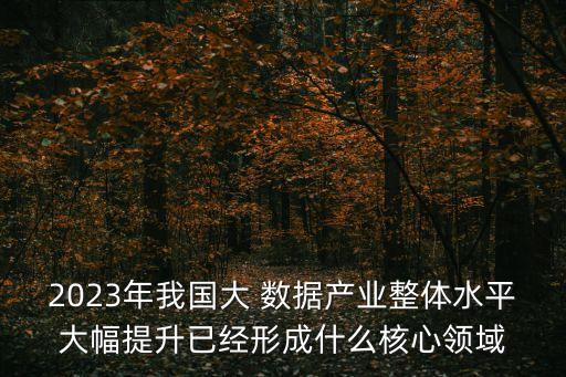 2023年我國大 數(shù)據產業(yè)整體水平大幅提升已經形成什么核心領域