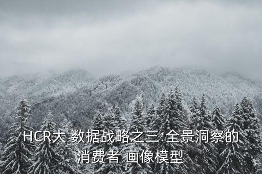大數(shù)據(jù)下的用戶畫像,用戶畫像數(shù)據(jù)來源從哪里獲取