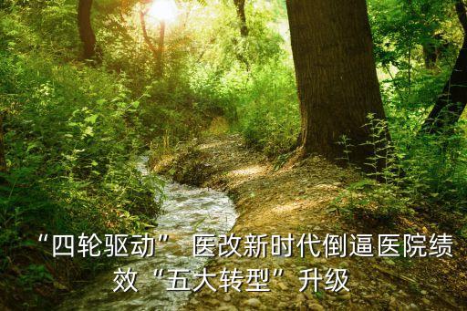 “四輪驅(qū)動(dòng)” 醫(yī)改新時(shí)代倒逼醫(yī)院績效“五大轉(zhuǎn)型”升級(jí)