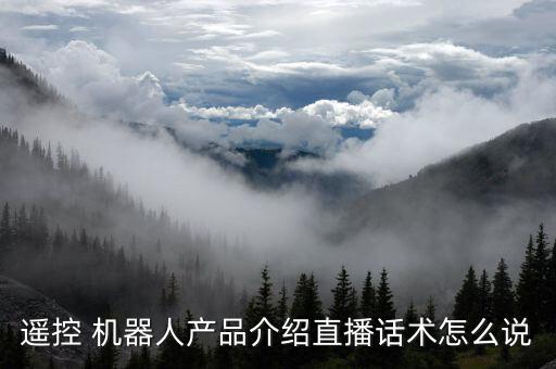 遙控 機器人產(chǎn)品介紹直播話術怎么說